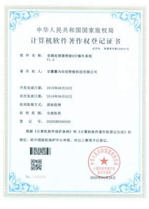 音频处理器只能DSP操作系统